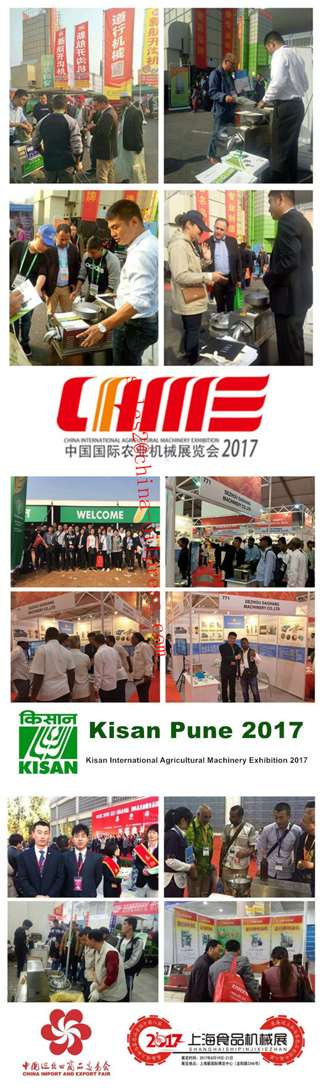 China Factory Supply Peanut Cold Screw Oil Press Making Machine