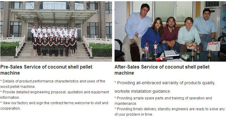 Mini Biomass with Long Service Time Coal Dust Pelletizer Press Mill