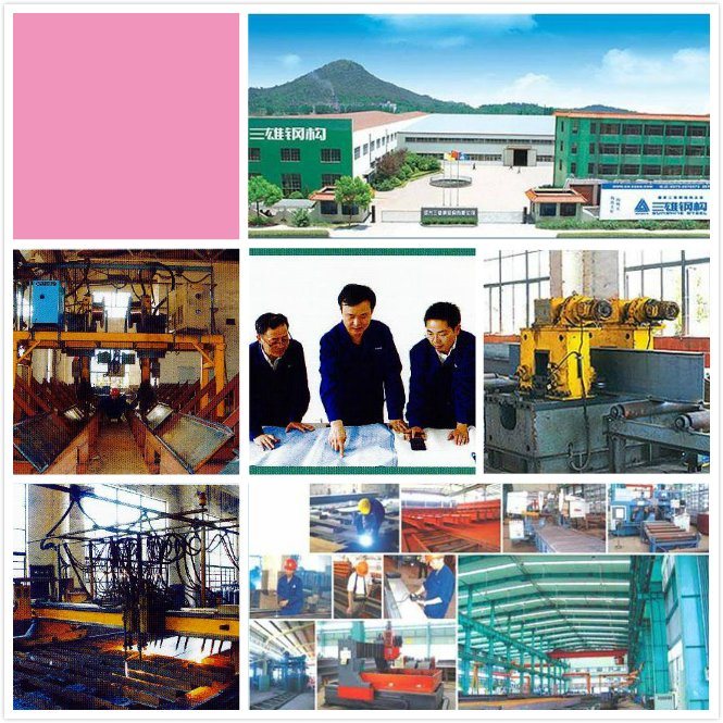Power Plant Steel Structure with Q345 for Steel Building, Equipment, Machine