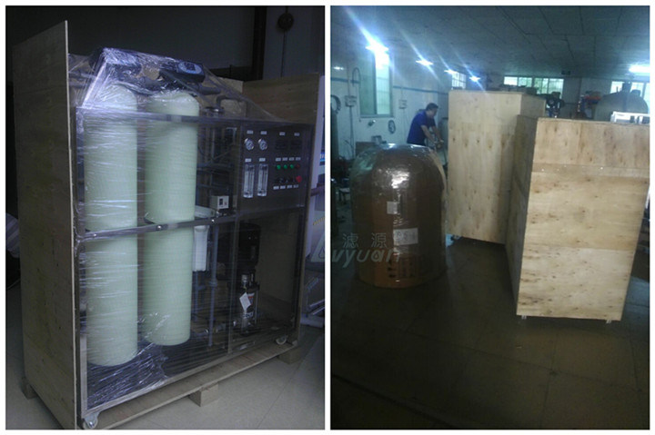 Industrial Pure Drinking Reverse Osmosis 250L 500L 1000L 2000L Water Filter System with EDI RO Water Treatment