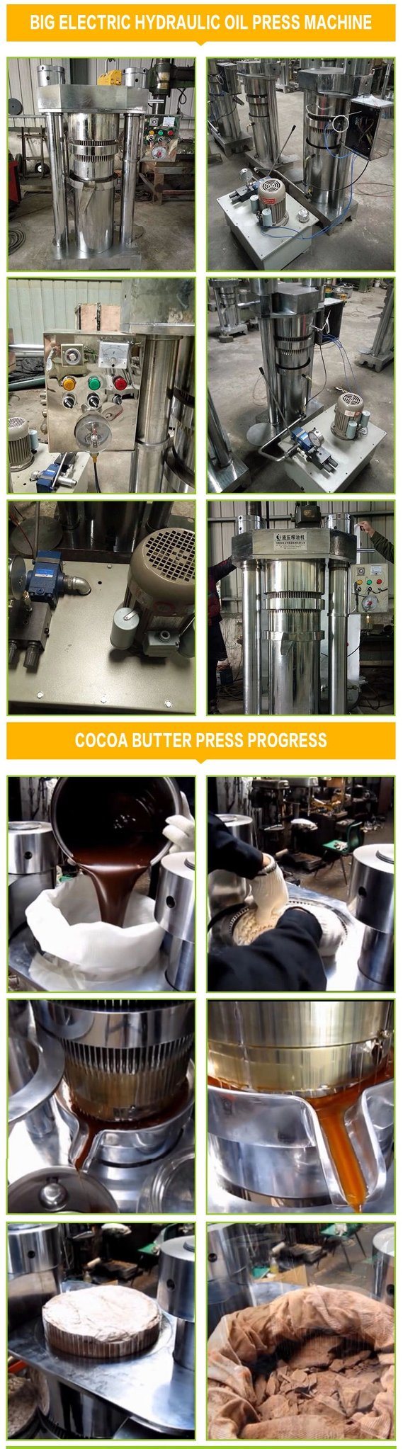 Automatic Sesame Oil Making Machine Hydraulic Oil Press and Hydraulic Cocoa Oil Squeezer for Cold Pressing  Machine
