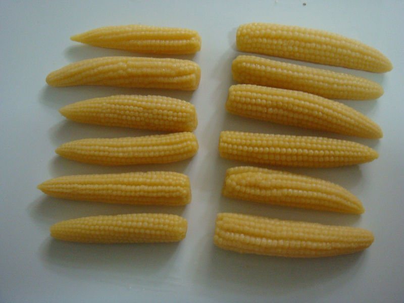 2017 Crop Canned Baby Corn