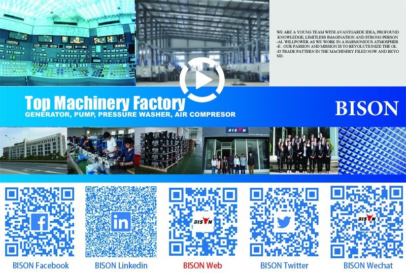 Bison (China) BS6500p 5kw Reliable Factory Price Electricity Gasoline Generator