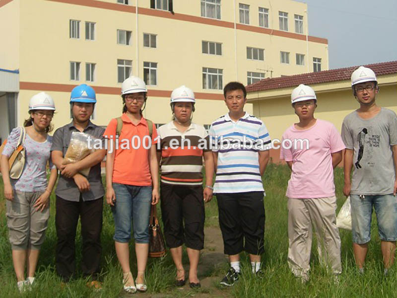 Rice Protein Meal Animal Food Protein Powder