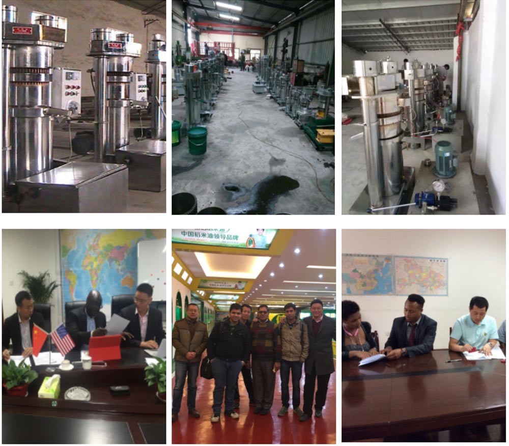 Automatic Sesame Oil Making Machine Hydraulic Oil Press and Hydraulic Cocoa Oil Squeezer for Cold Pressing  Machine