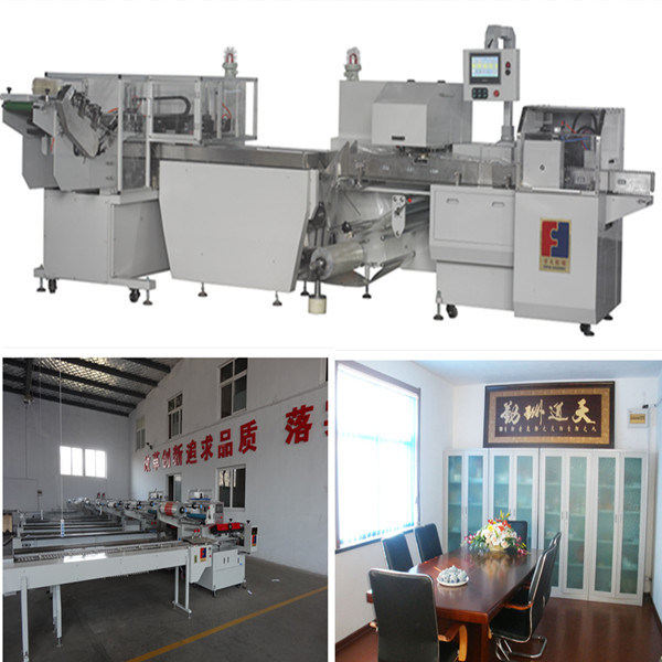 FFC Series Pillow Type Glove Flow Packing Machine