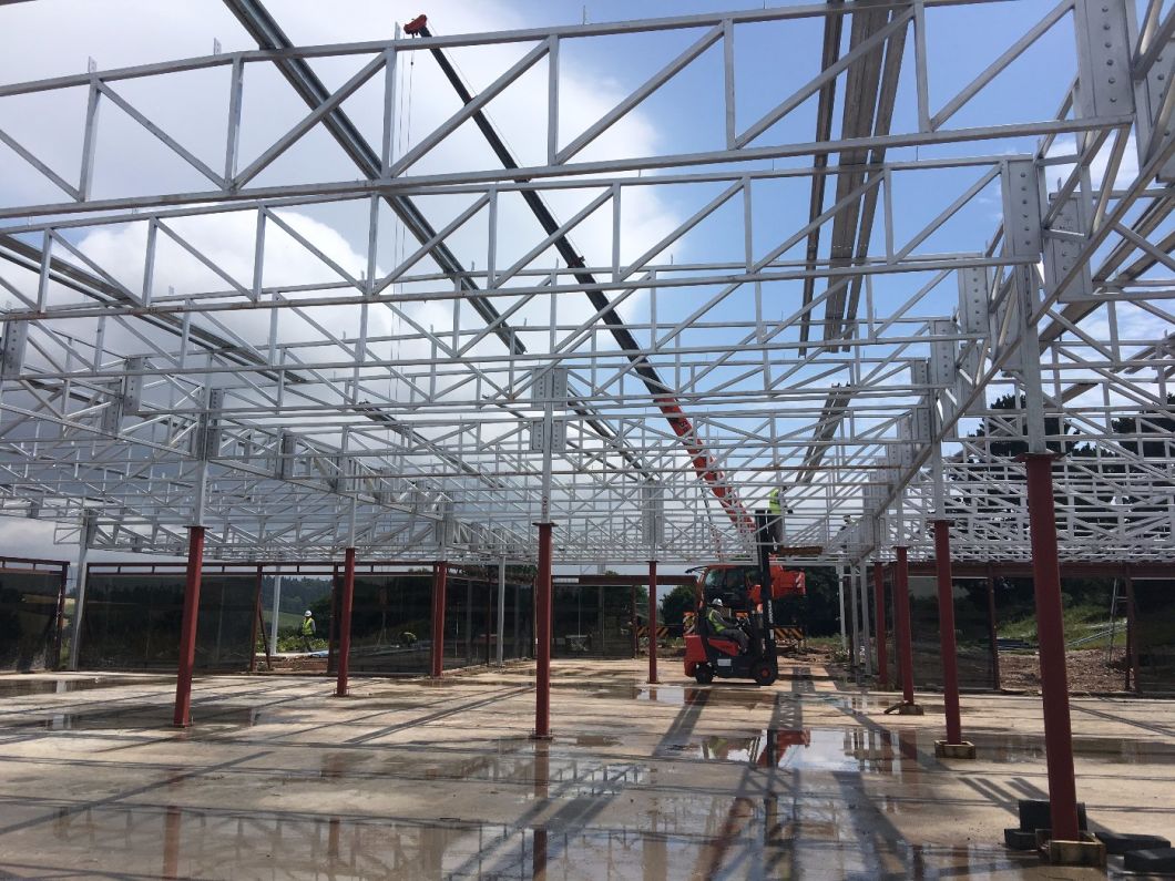 New Design Steel Structure on Large Workshop and Factory2018039