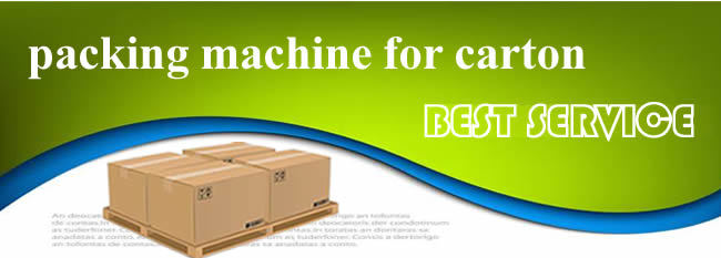 Fully Automatic Carton Edge Sealing Packing Machine