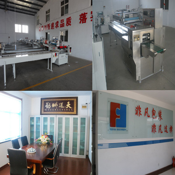 FFC Series Pillow Type Glove Flow Packing Machine