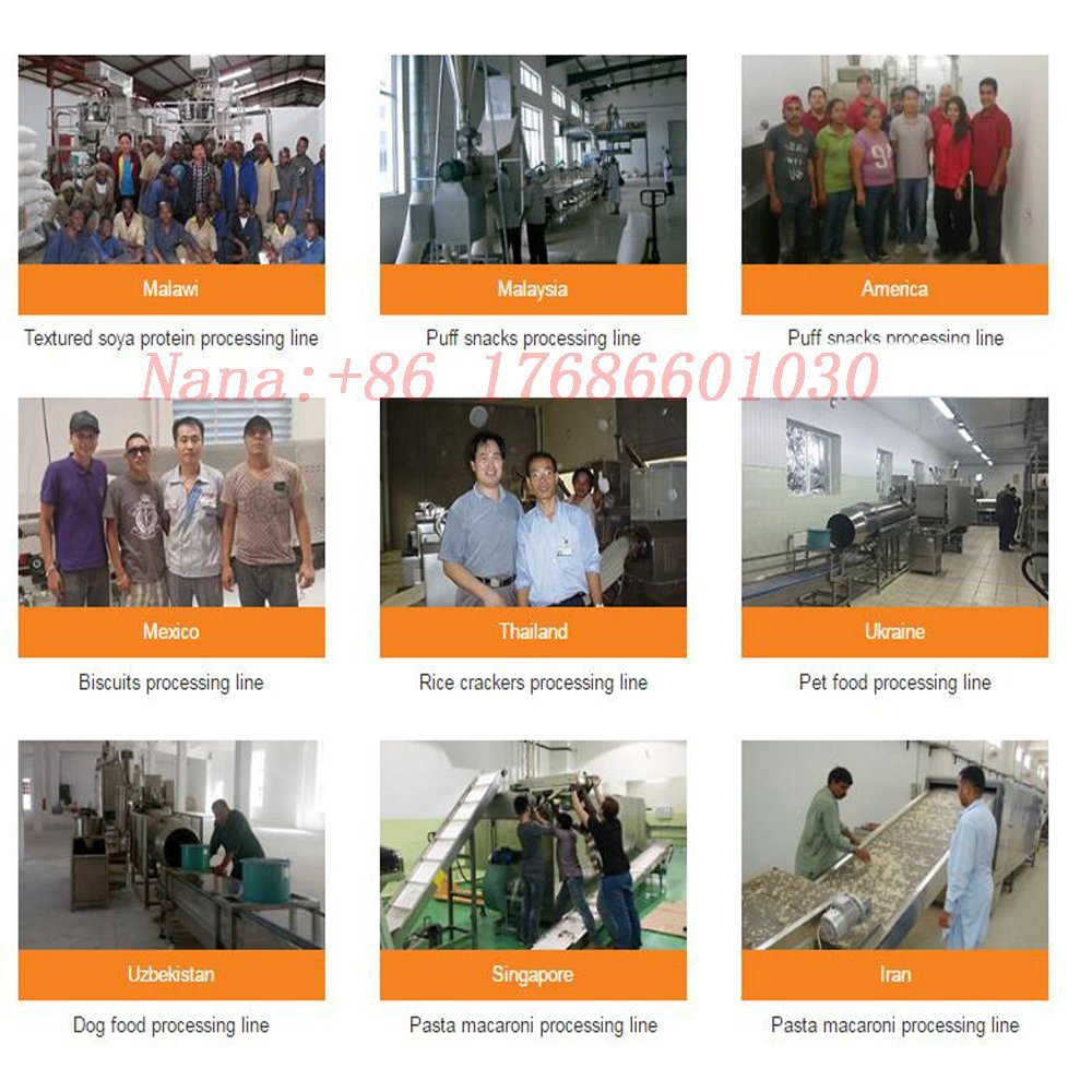 Ce Standard Full Autoamtic Modified Starch Production Plant