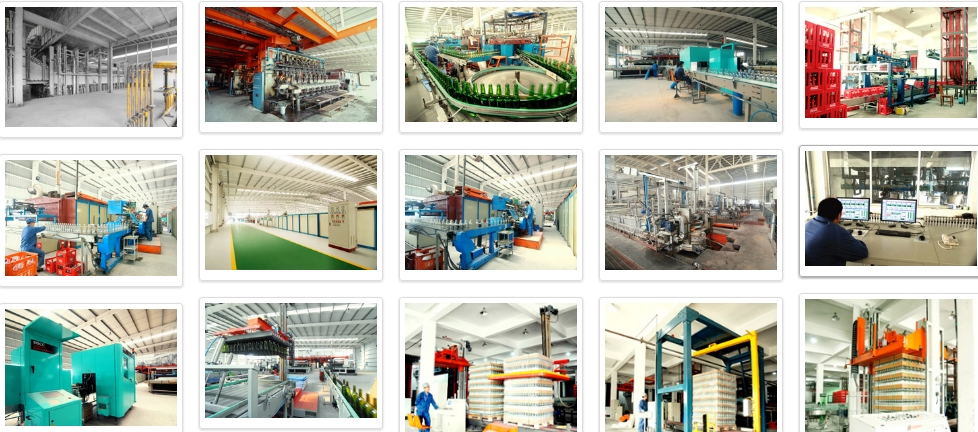 Crystal Skull Head Whiskey Decanter with Cork