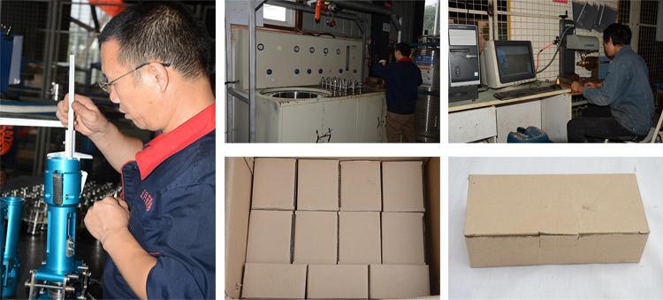 Electromagnetic Valve for CNG Car