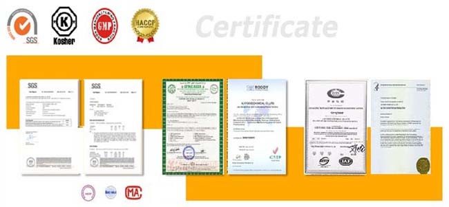 Bulk Organic Vanilla Beans Extract Powder for Wholesale