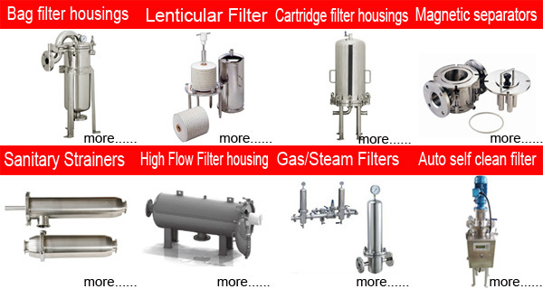 Millipore Cuno Pall Donalson Equal Stainless Steel Ss Water Liquid Inox Inline in Line Y Duplex Sanitary Magnetic Bag Membrane Cartridge Filter Manufacturer