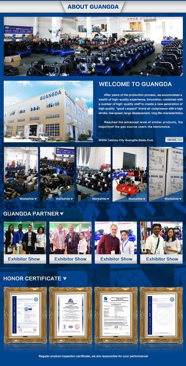 4kw 5.5HP 100L 8bar Belt Driven Air Compressor (V-0.6/8)