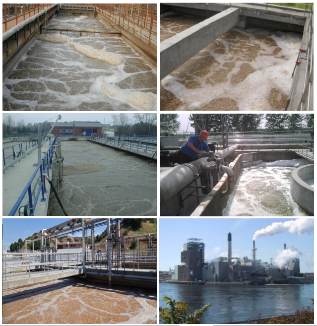 Plastic Biofilter media MBBR filter Media for waste water treatment