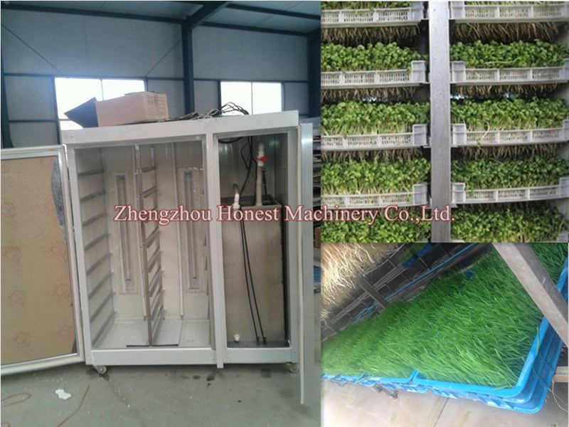 Alfalfa / Bean Sprout /Bud Seeding Growing Making Machine