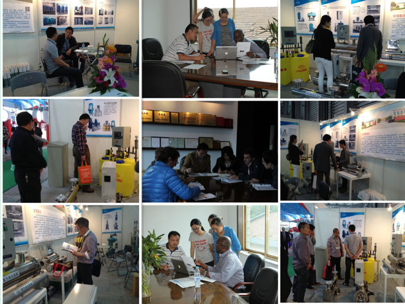 6000 Liter/Hour Dual Valve Dual Tank Water Softener System