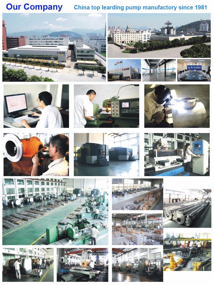 Diaphragm Pump with Ce Approval