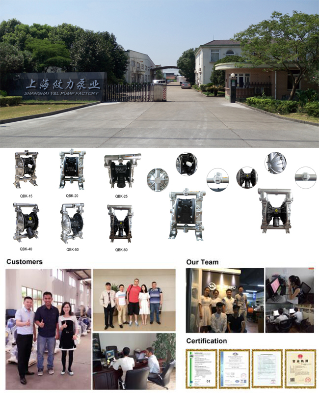 Stainless Steel Air Pneumatic Double Diaphragm Chemical Process Pump