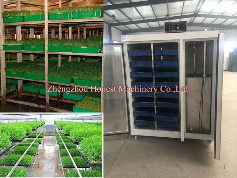 Alfalfa / Bean Sprout /Bud Seeding Growing Making Machine