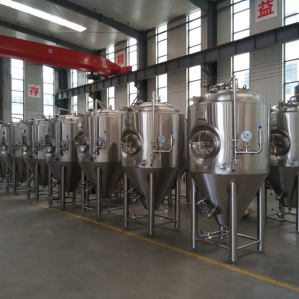 10HL fermenter tank with temperature control