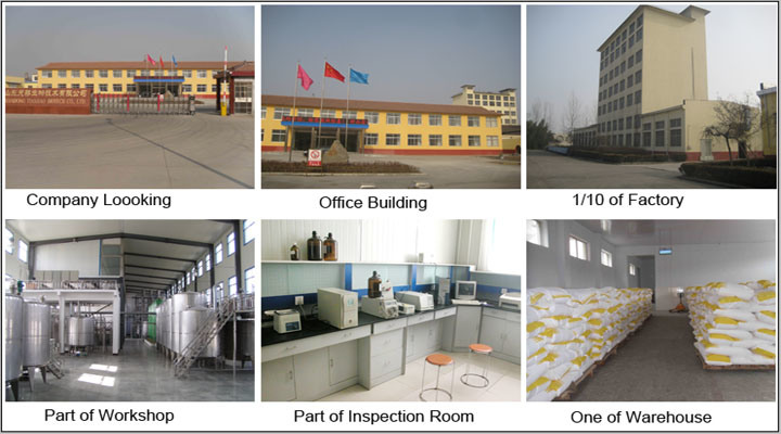 Super Manufacturer Supply Non-Dairy Coffee Creamer, Foaming Creamer, Fat Powder