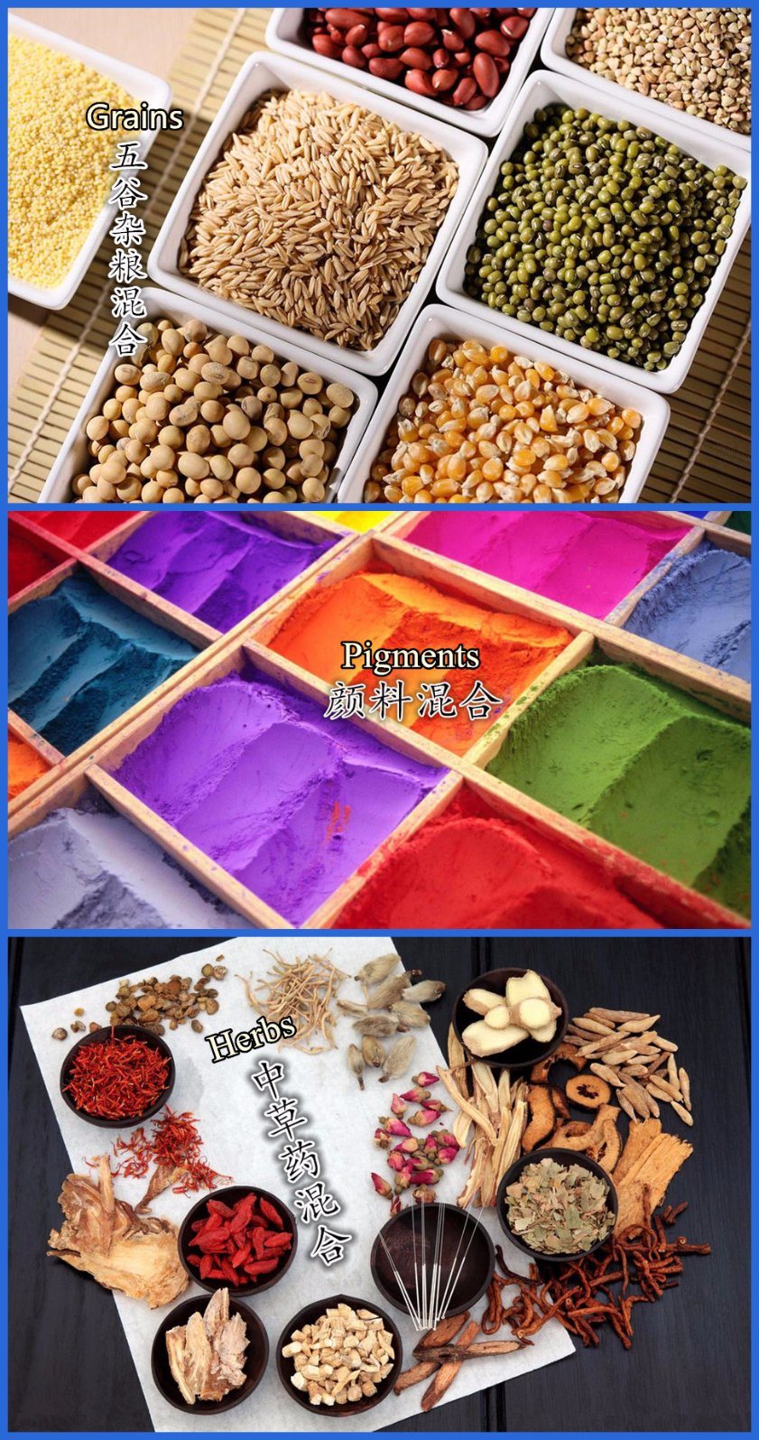 CH-400 Single Paddle Agitator for Fruit and Vegetable Powder