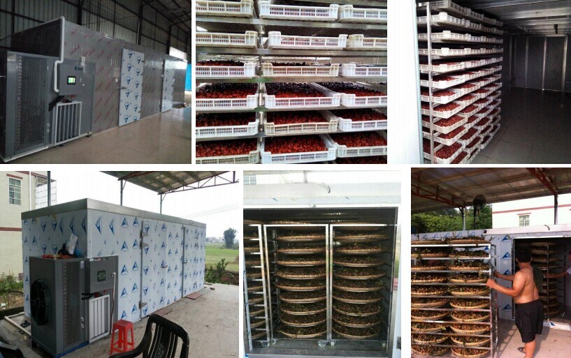 Agricultural Machinery Grain Processing Machine/ Maize Dryer