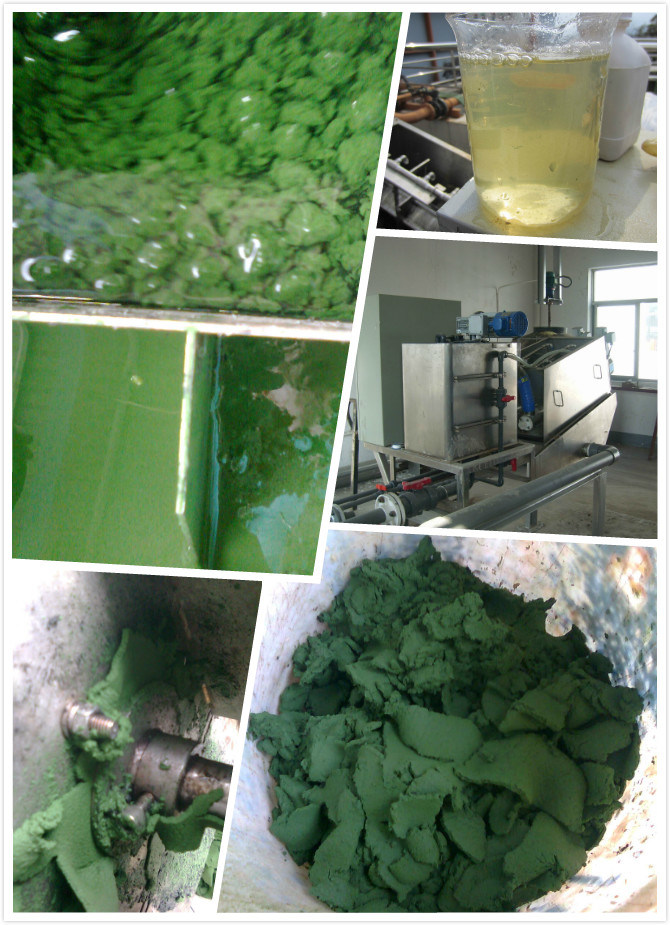 Patented Multi-Plate Screw Press for Sludge Dewatering Better Than Centrifuge Belte Press and Frame Filter Press