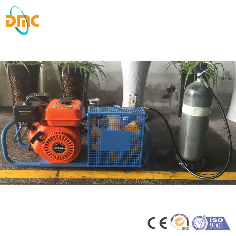 2.2kw 300bar 4500psi Mini Portable Piston Electric/Gasoline/Diesel Air Cooling High Pressure Pcp Paintball/Scuba Diving/Fire Breathing Air Pump Air Compressor