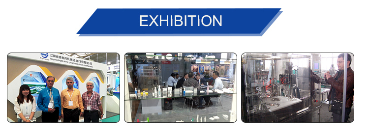 Pharmaceutical Machinery Dry Heat Sterilizer for Dmh-III