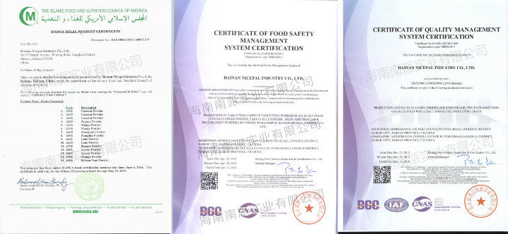 Non GMO Mango Juice Powder with High Purity