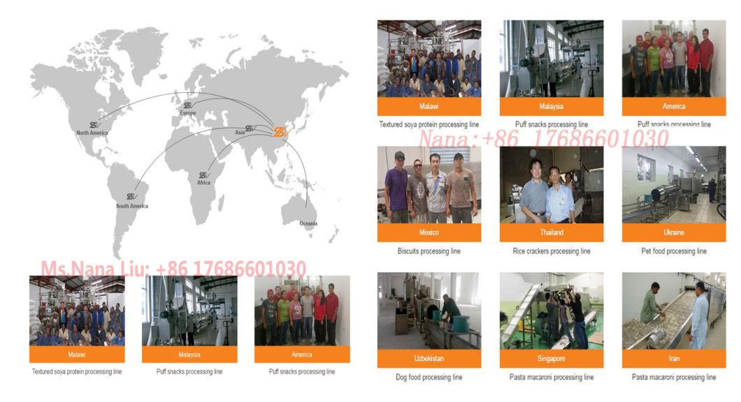 New Condition Full Automatic Popcorn Making Plant