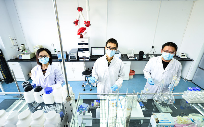 Cinnamon Bark Extract / Cinnamomum Cassia Extract / Polyphenols