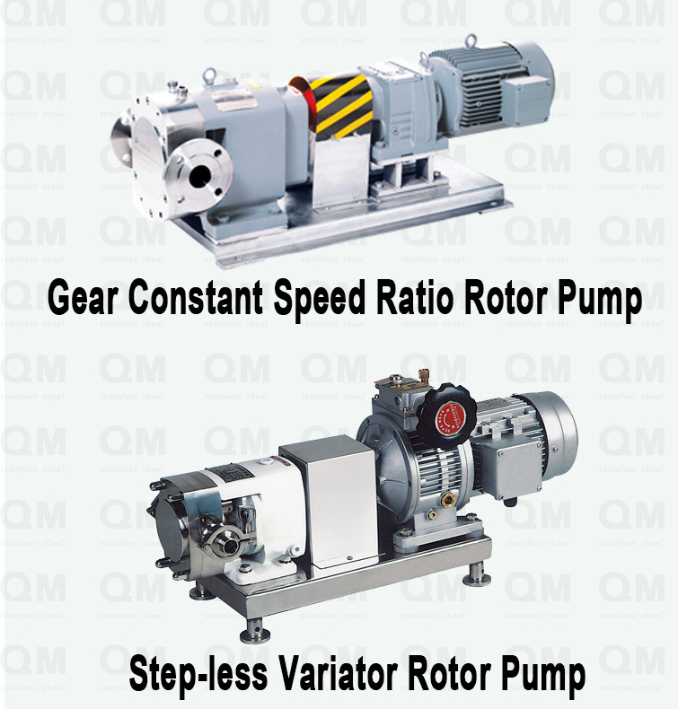 Sanitary Converter Motor Lobe Pump, Mirror Polish External Surface