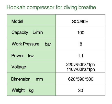 Electricity/Diesel/Gasolins 8 Bar Portable Underwater Operations Low Pressure Scuba Diving Air Compressor for Diving Breathe