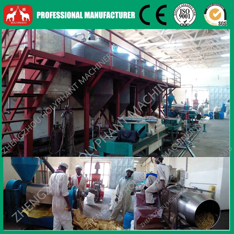 Vegetable Cotton Seeds, Rice Bran, Sunflower Seeds Oil Press Equipment
