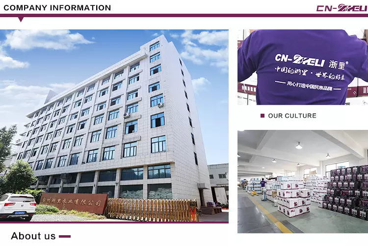 China Factory Automatic Control Manual Electric Self Priming Hot and Cold Water Booster Pumps