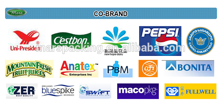 Milk Filling and Packaging Machine (MFS20-12)