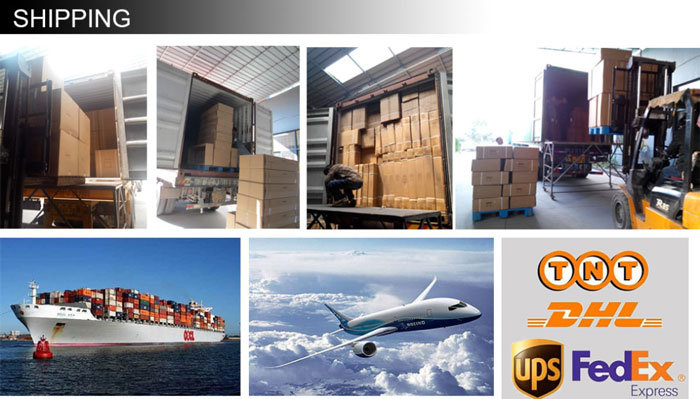 Top Selling Customized Small Wall Rack Mounts