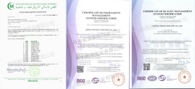 Nicepal Non GMO Banana Fruit Powder / Banana Juice Powder