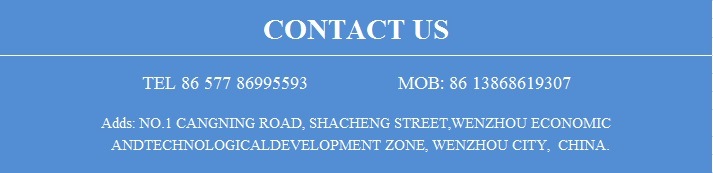 Sanitary Tri-Lobe Rotor Pump Without Motor