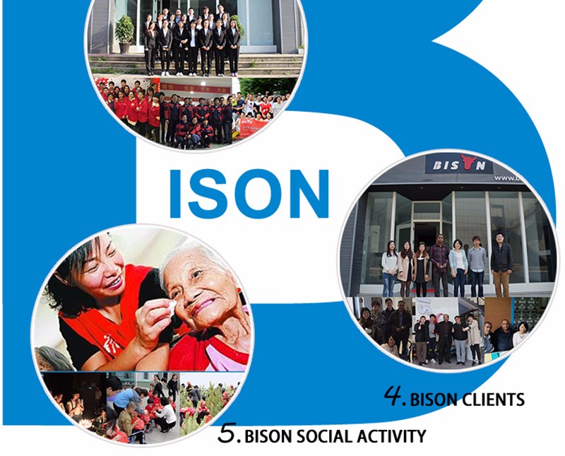 D bison overview 2.jpg