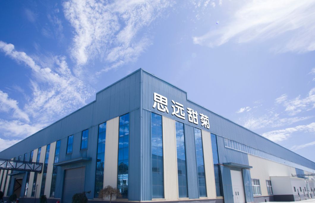 Organic Plant Extract Stevia Powder Sweet Sweetener