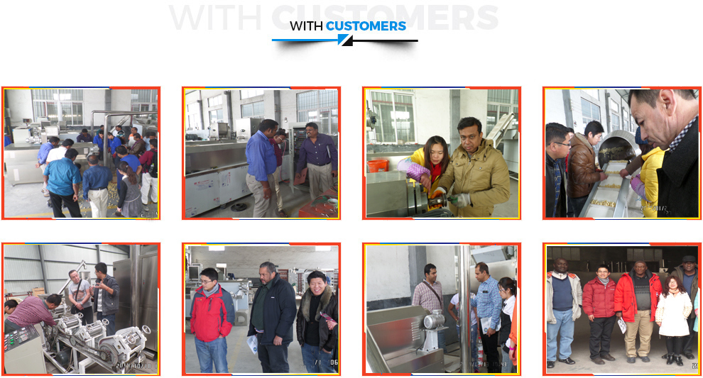 Pet Dog Cat Fish Chewing Food Pellet Machine Bird Monkey Food Production Line Making Extruder Euquipment Dog Food Processing Plant Modified Starch Machinery