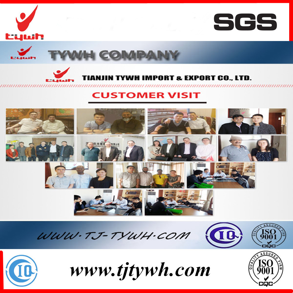 Bulk Granular Powder Coal Activated Carbon Active