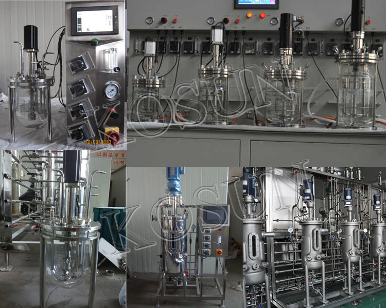 30L 50L 100L 500L Stainless Steel Laboratory Lab Pilot Bio Fermentation Seed Tank