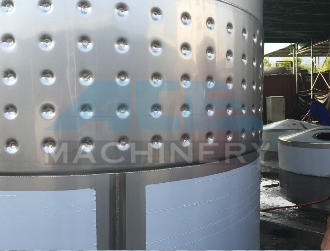 100 Liters Sanitary Seeds Fermentation Tank (ACE-FJG-X7)