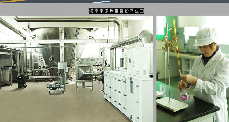 Non GMO Mango Juice Powder with High Purity